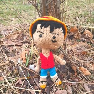 Luffy The Pirate Captain